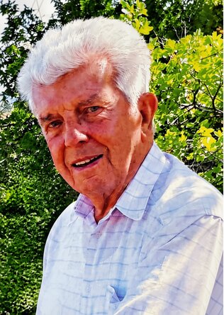 Henri Pelgrims