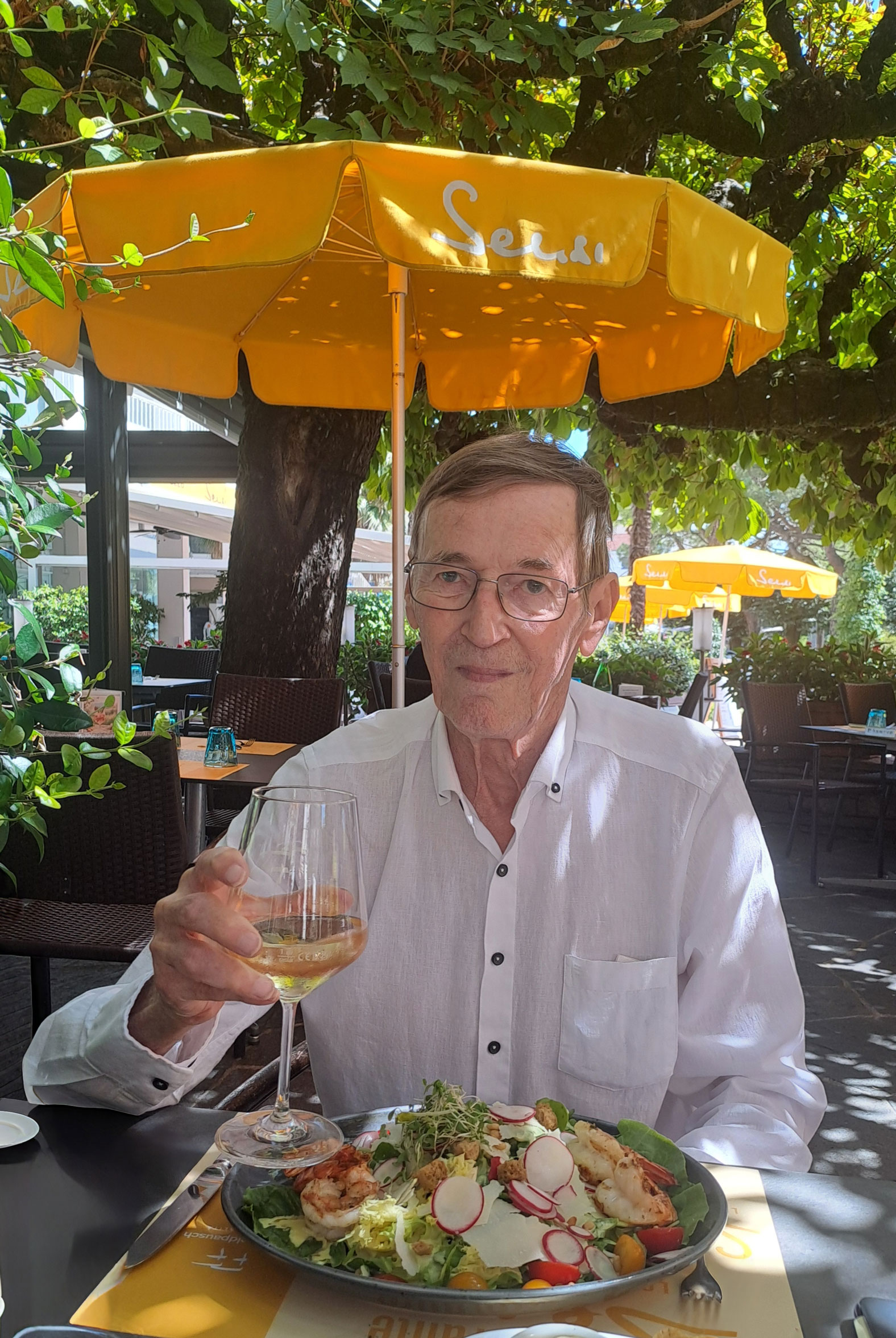 Hans Synhaeve