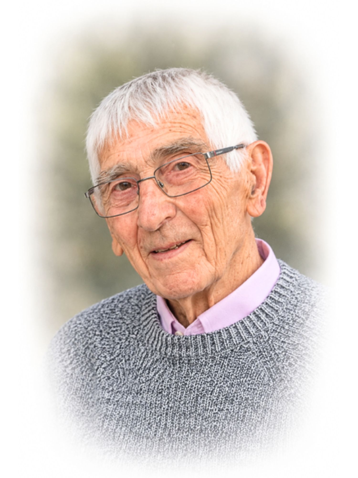 Alfons Van de Velde