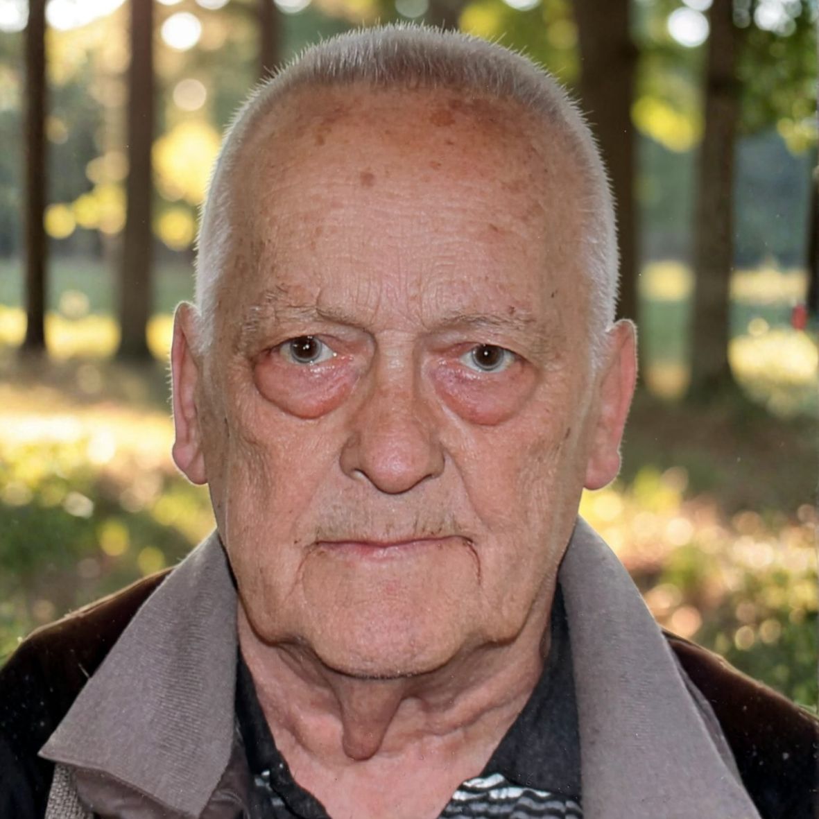 Eddy Van Vosselen