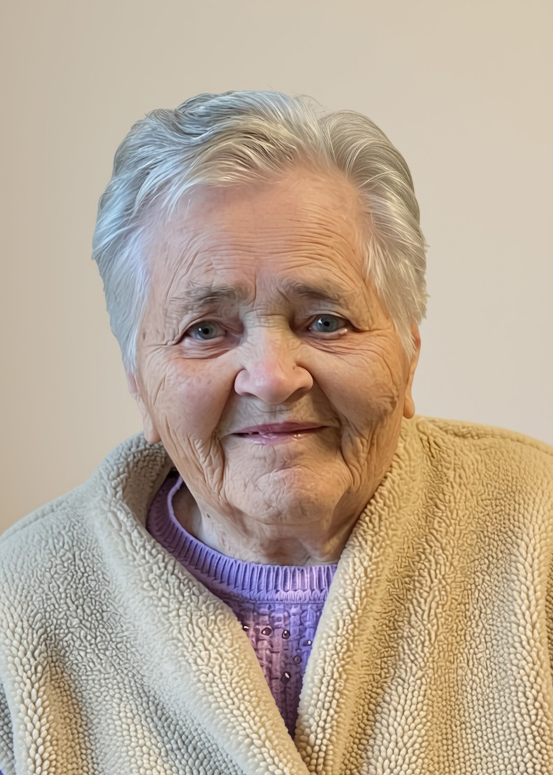 Liza Van Dijck