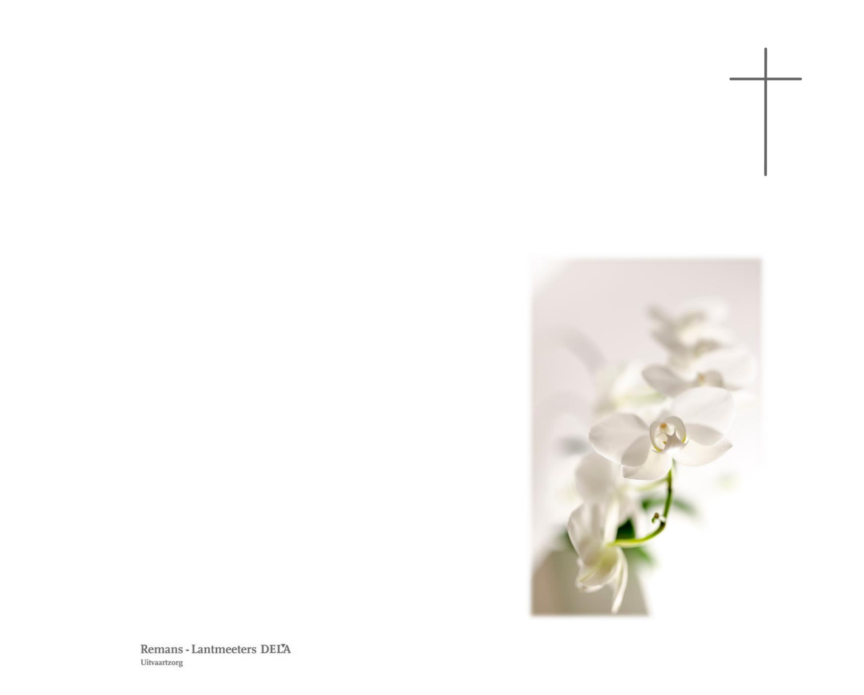 Letter Of Condolence