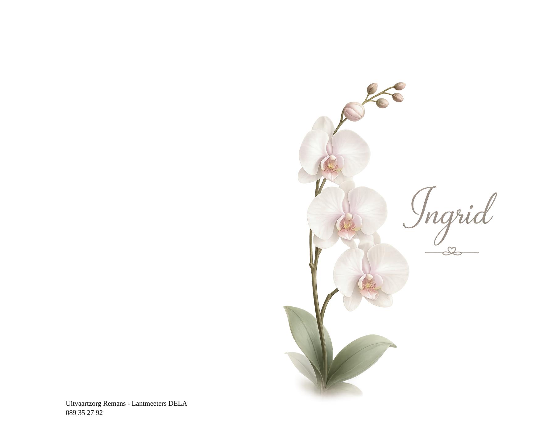 Letter Of Condolence