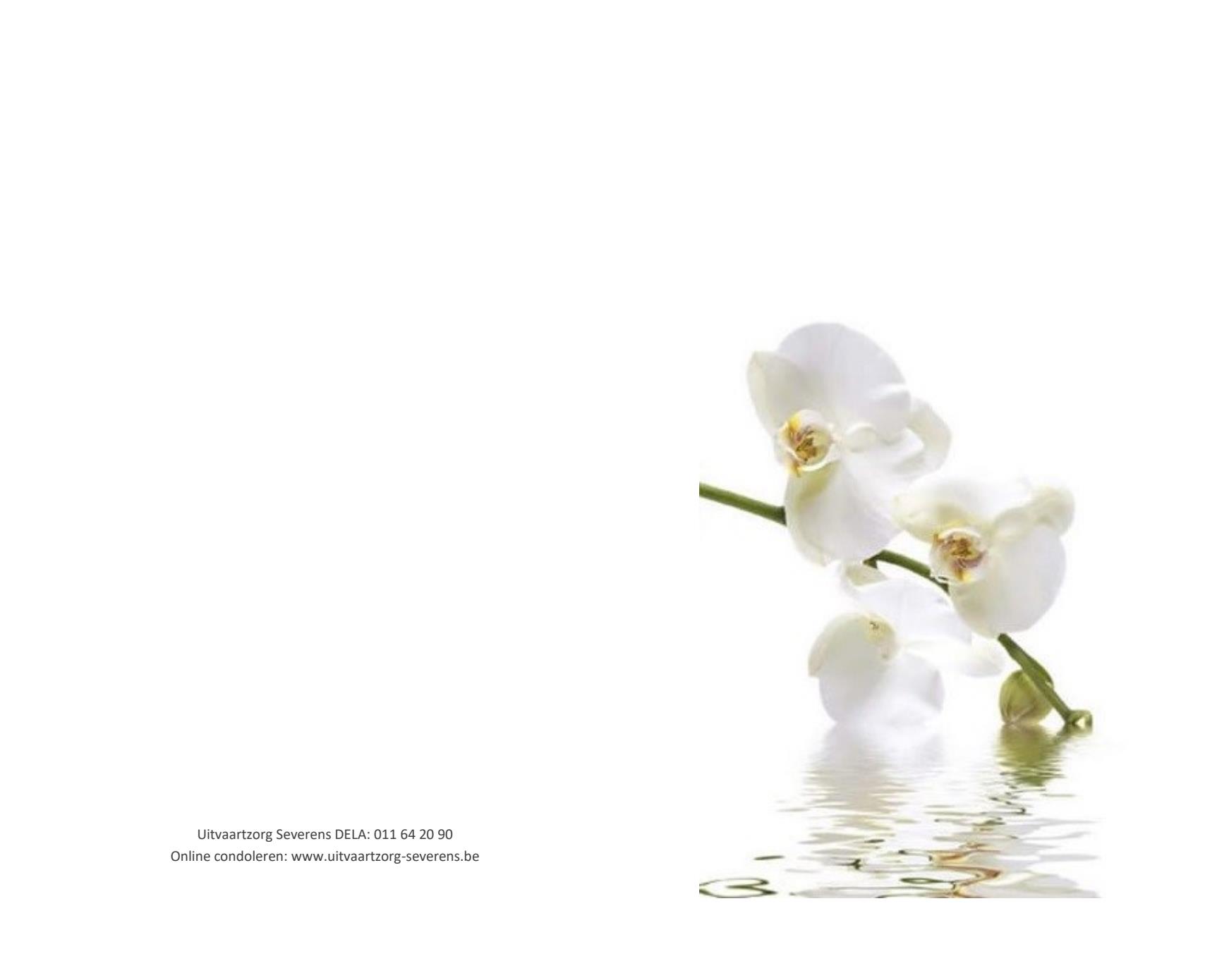 Letter Of Condolence