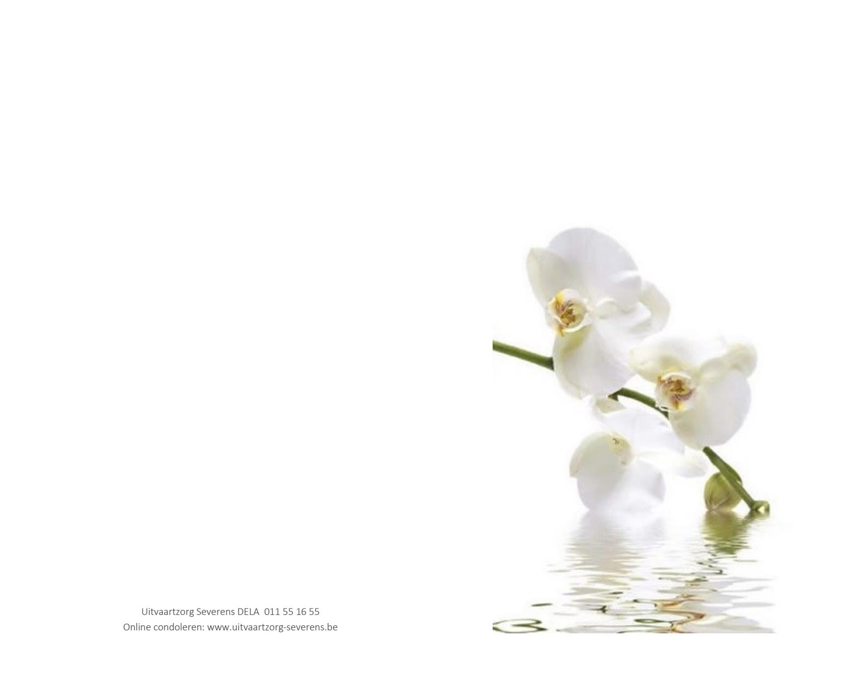 Letter Of Condolence