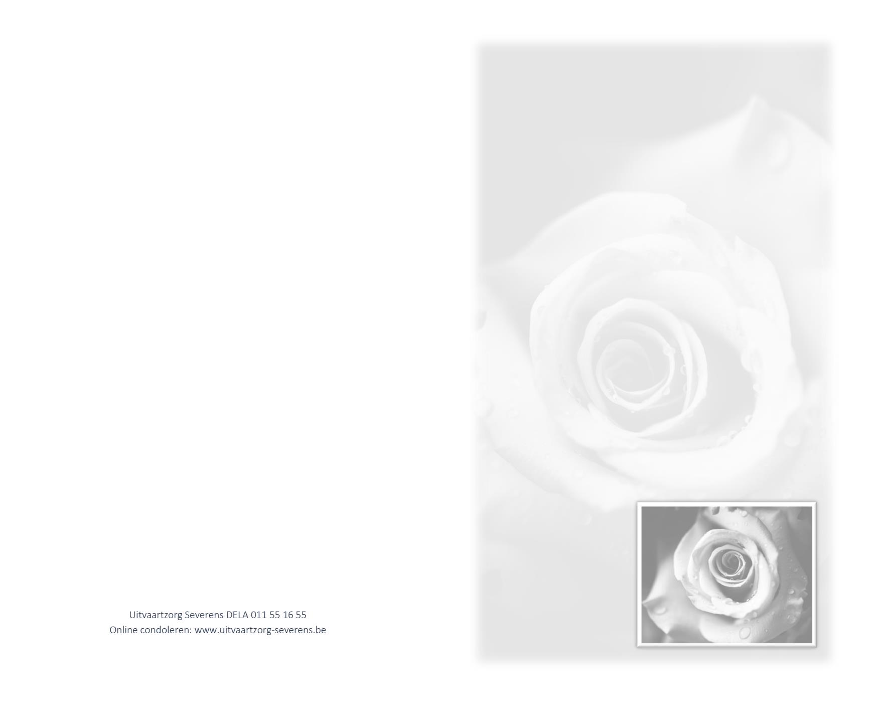 Letter Of Condolence