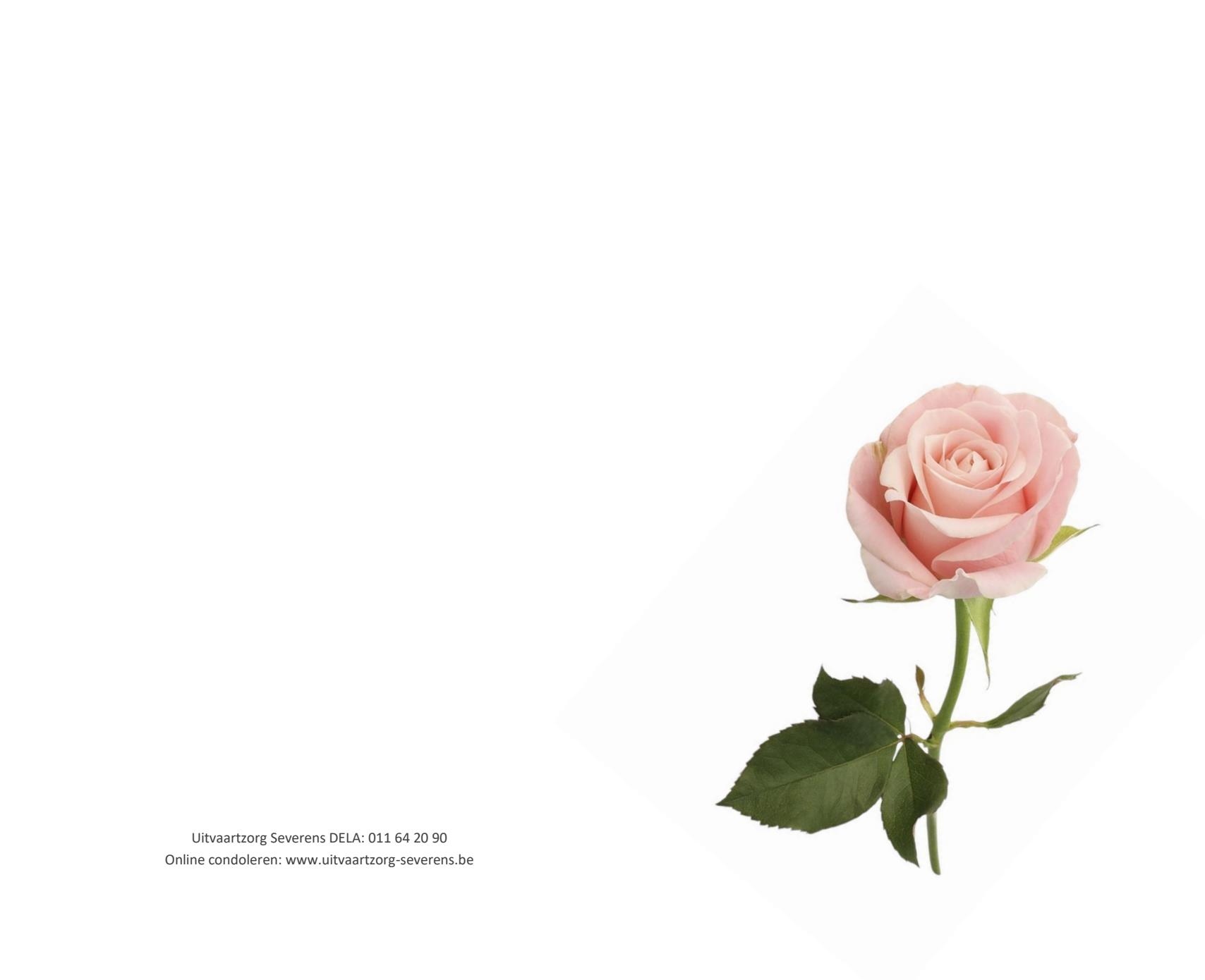 Letter Of Condolence