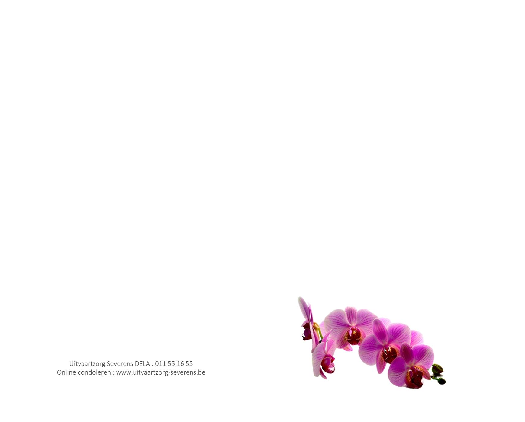 Letter Of Condolence