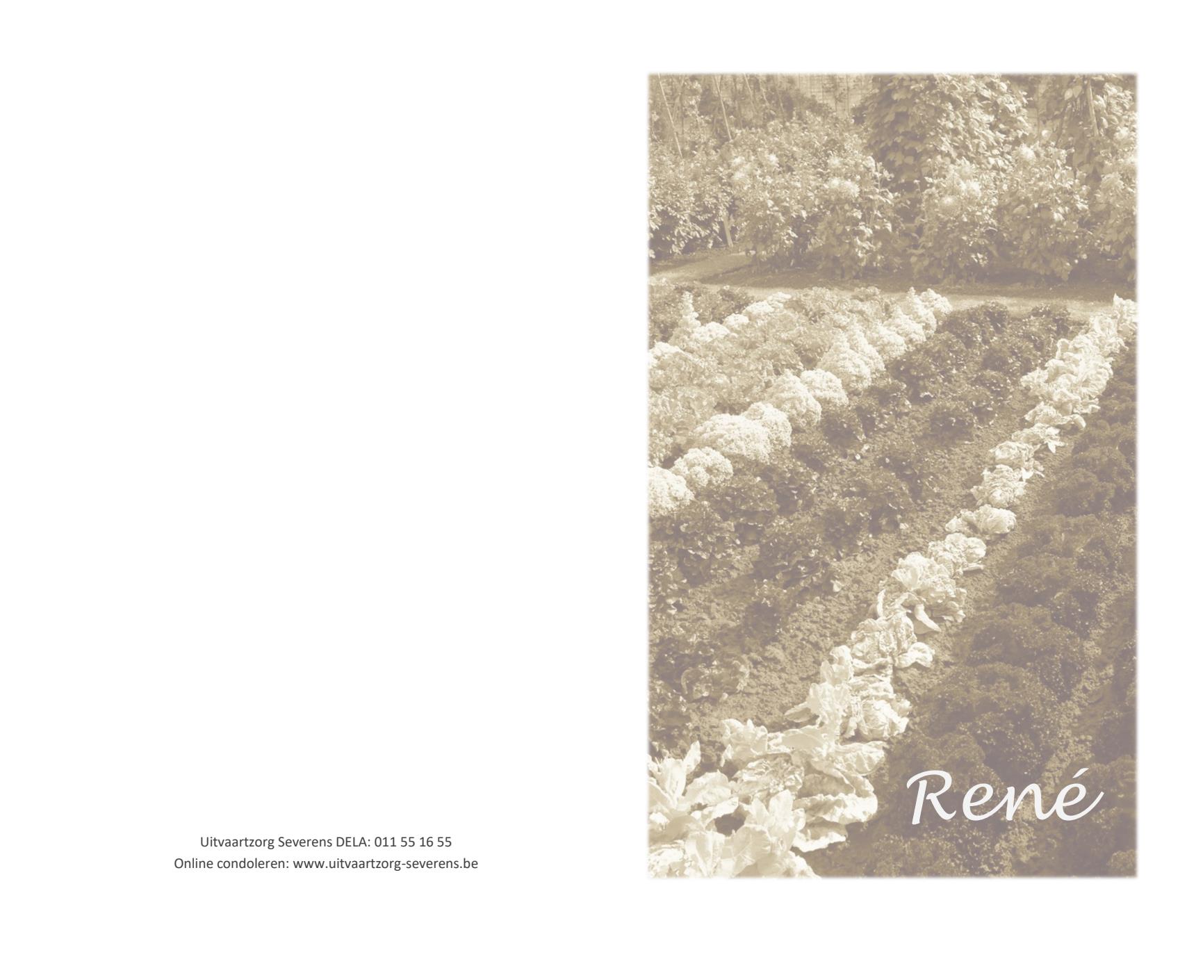 Letter Of Condolence