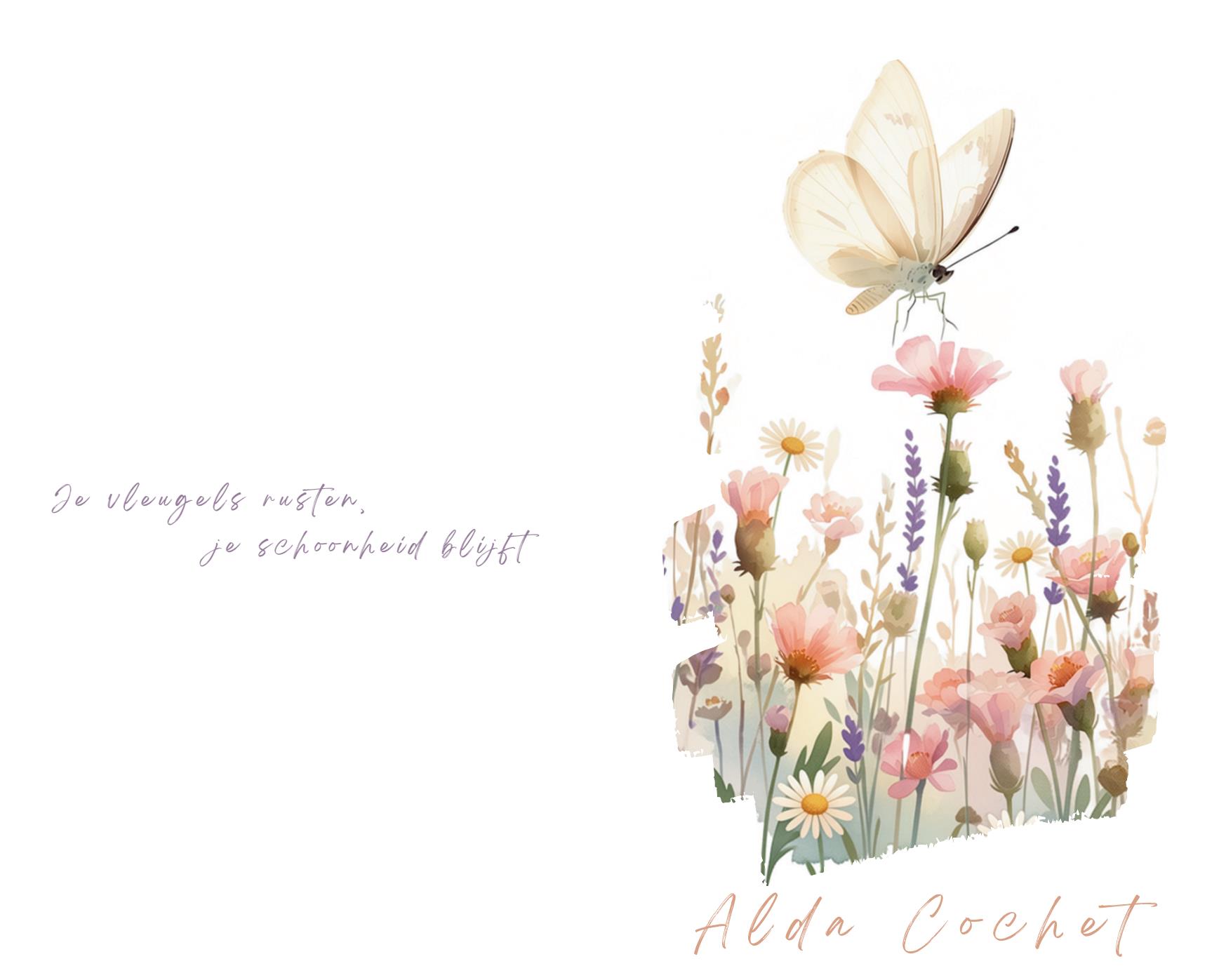 Letter Of Condolence