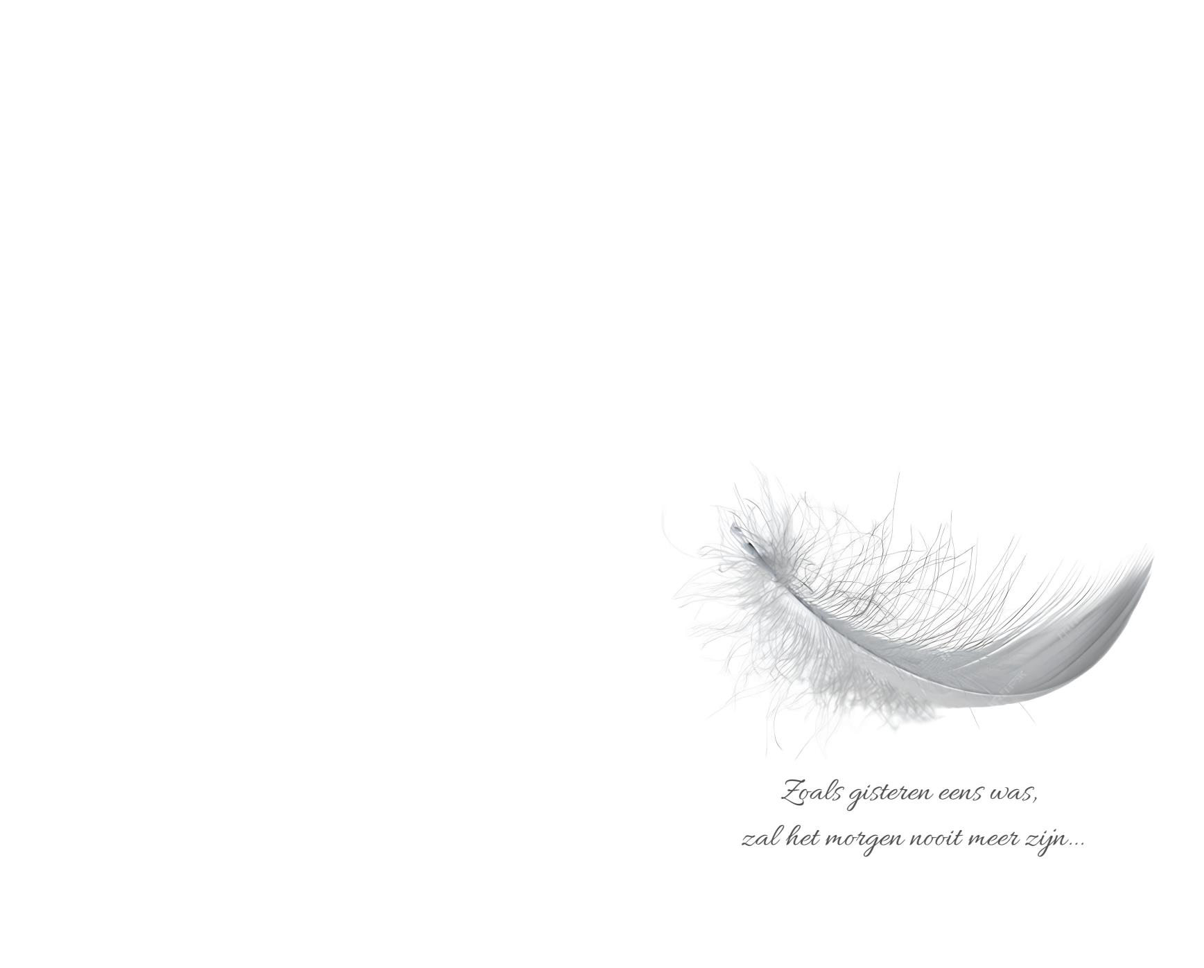 Letter Of Condolence