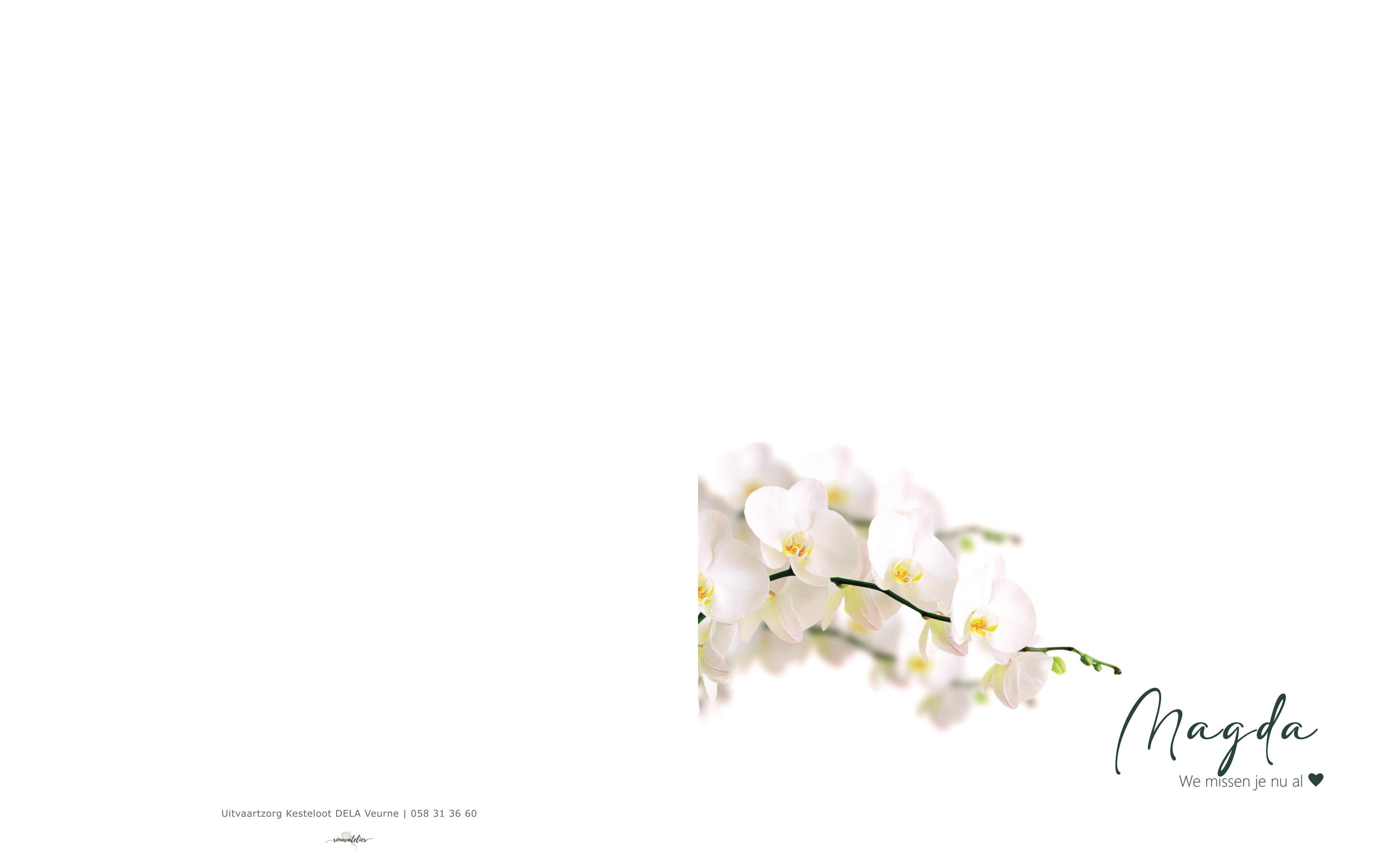 Letter Of Condolence